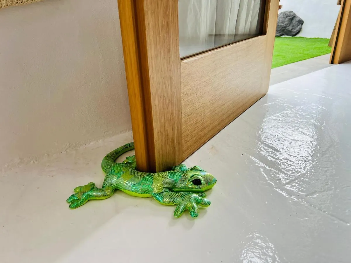 Appartement Calme Et Tranquillite Absolue à Nazaret